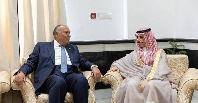 الأمير فيصل بن فرحان يلتقي وزير الخارجية المصري