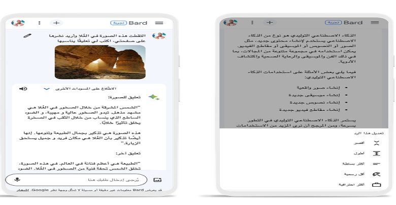 Google تطلق إمكانية سؤال Bard باستخدام الصور باللغة العربية