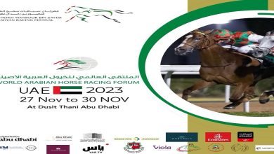 اكتمال الاستعدادات للملتقى العالمي للخيول العربية الـ 13
