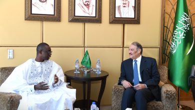أسامة بن أحمد نقلي سفير المملكة العربية السعودية لدى مصر يلتقي بنظيره السنغالي