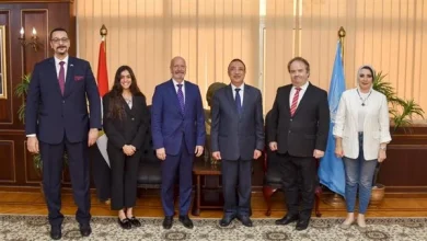 أكبر مساحة غابات في أوروبا | فنلندا تعتزم توريد الأخشاب لمصر