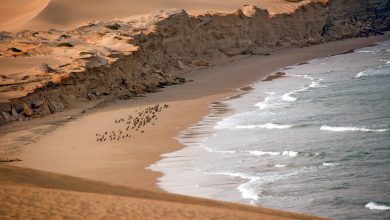 وزارة التراث والسياحة العمانية تُطلق هاكاثون السياحة 2025: منصة لتعزيز الابتكار والنمو