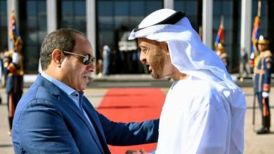 الرئيس عبد القتاح السيسي والشيخ محمد بن زايد
