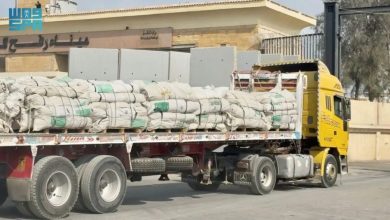 موسم الرياض 2025 يتجاوز مليوني زائر في أقل من شهر ويواصل تحطيم الأرقام القياسية