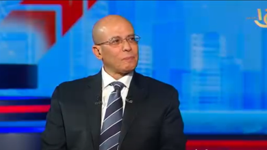 السفير أحمد فاضل