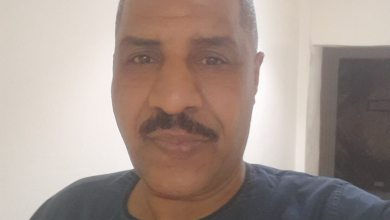 الشاعر مجاهد سليم